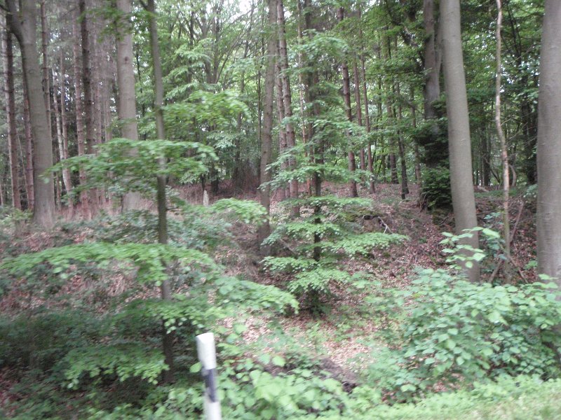 Bad Schwartau 199